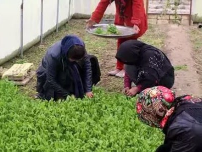 Agricultural Development