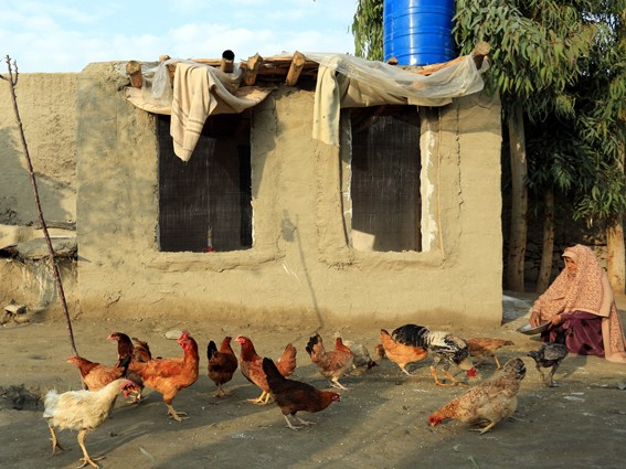 Economic Empowerment